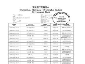 贵州个人薪资流水制作